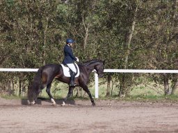 IMG_7818_web